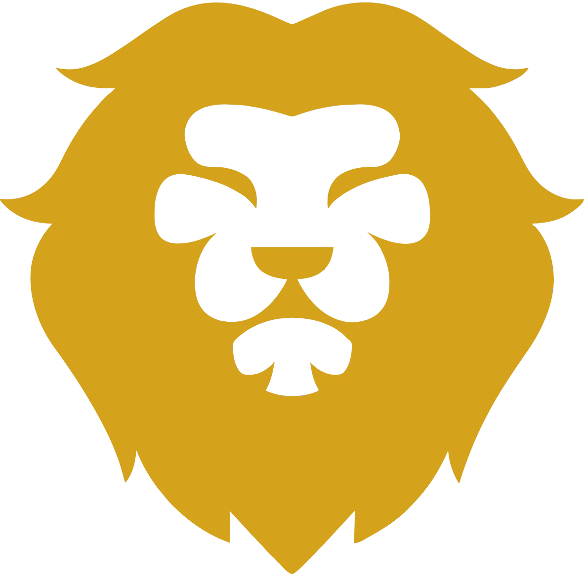 Honor Tech - Custom Software Development Company