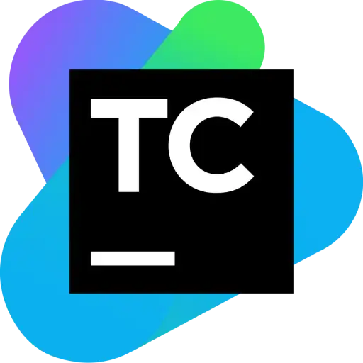 Team City Logo